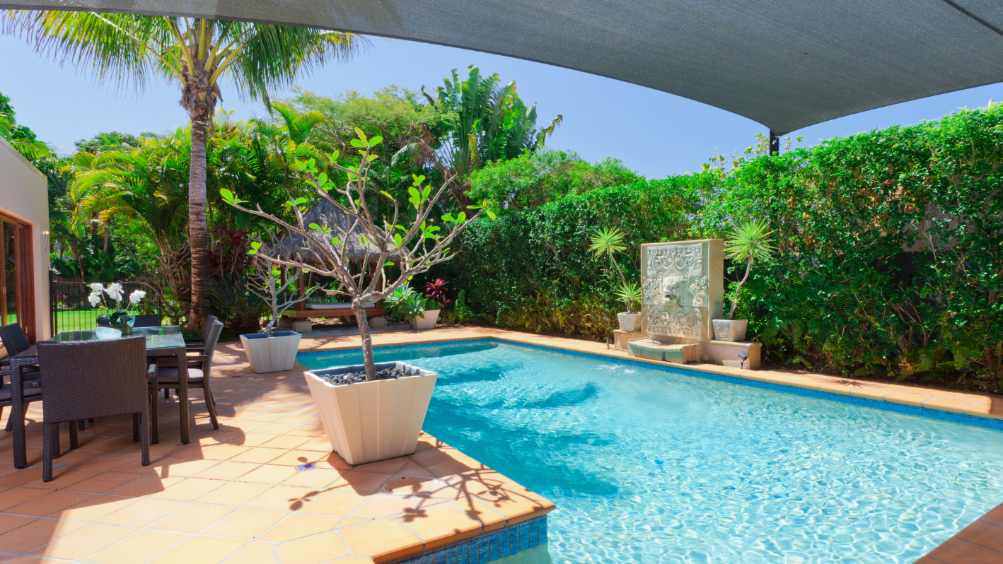 A backyard with a swimming pool surrounded by greenery